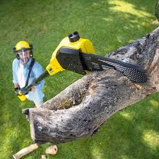 Best Tree Disease Treatment  in Aberdeen Proving Ground, MD